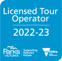 Park Victoria Licensed Tour Operator Horizon Guides