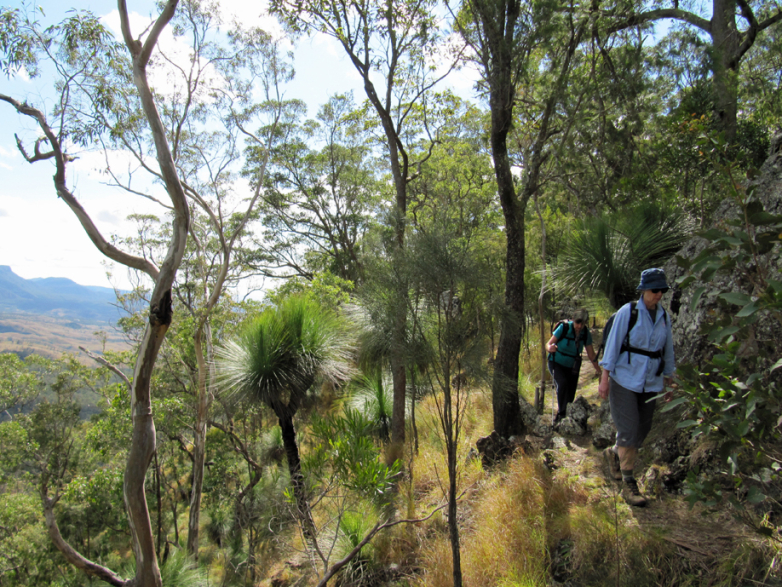 Mt Mathieson Trail, Main Range NP