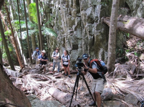 The Great South East film crew join Horizon Guides on a guided bush walk.