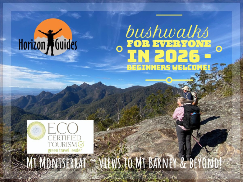 Mt Montserrat, Mt Barney NP