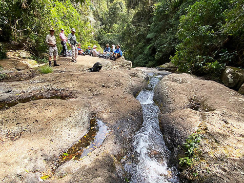 Picnic Rock - Toolona Circuit, Green Mountains